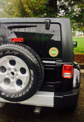 Customer Photo: LOVE these decals!